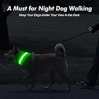 Vista 7 de BSEEN Collares iluminados para perros, collar recargable para cachorros, collar ajustable con brillo para perro, collar reflectante para mascotas
