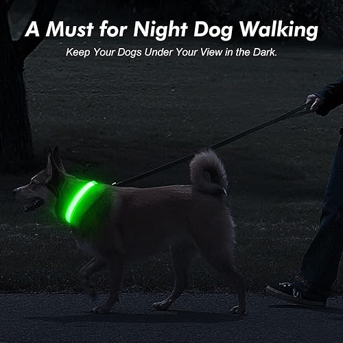 Miniatura 7 de BSEEN Collares iluminados para perros, collar recargable para cachorros, collar ajustable con brillo para perro, collar reflectante para mascotas,
