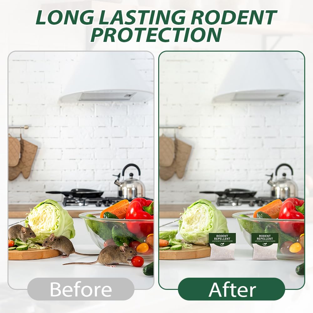 View 4