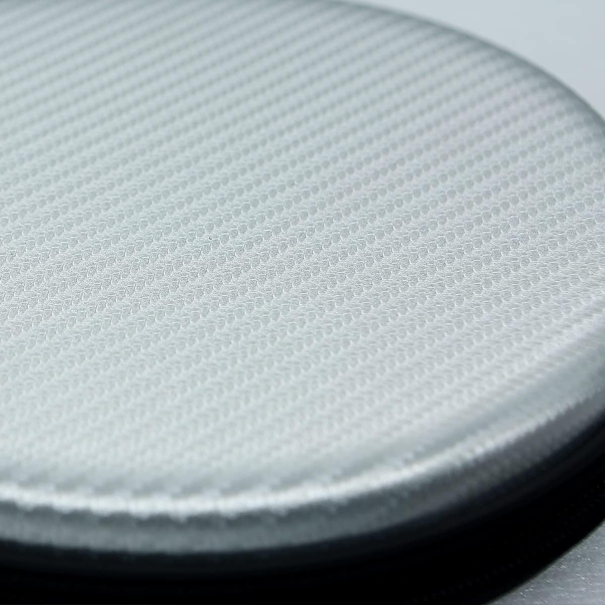 Rintifia Ping Pong Paddle Case - Hard Shell Table Tennis Racket Cover with Ball Holder - Protects and Stores 2 Rackets - Durable and Drop-resistant - Great Gift for Ping Pong Enthusiasts (silver) : Sports & Outdoors