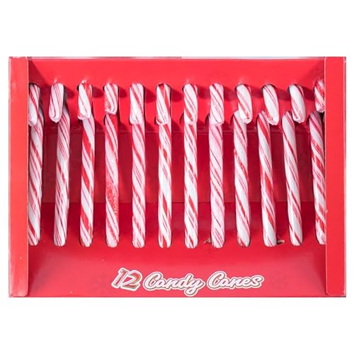 NX}X َq A ʕ LfB[ lߍ킹 Zbg v[g-NX}X   َq Ɩp Ε av[g v[g (B)