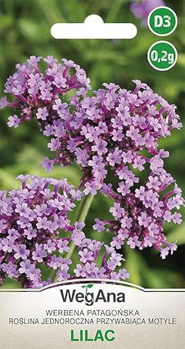 WegAna Verbena Patagónica Lila 0.2g, flores de verano, plantas de jardín plantas de balcón, semillas de flores, semillas de flores, imán para mariposas