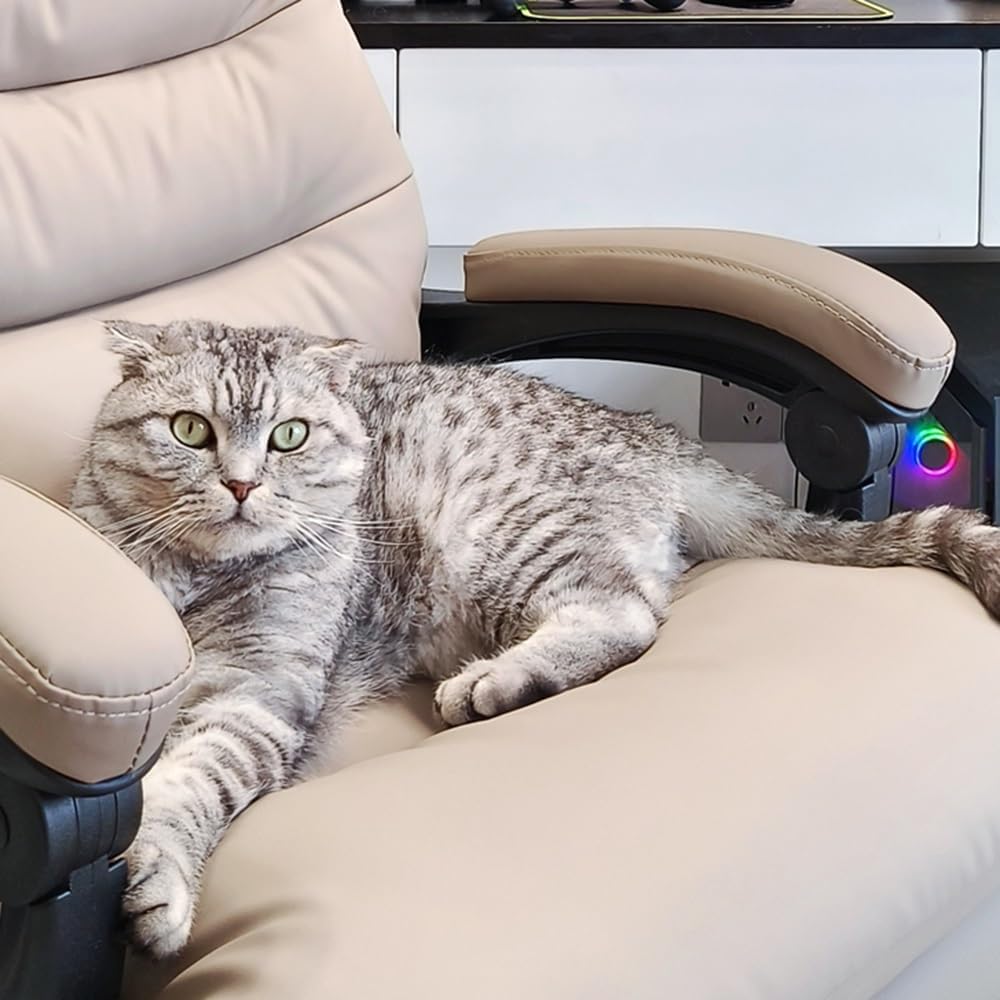 ねこ（2点） アース・ペット ねこモテホイホイ（4994527924405）｜猫用品（猫用品