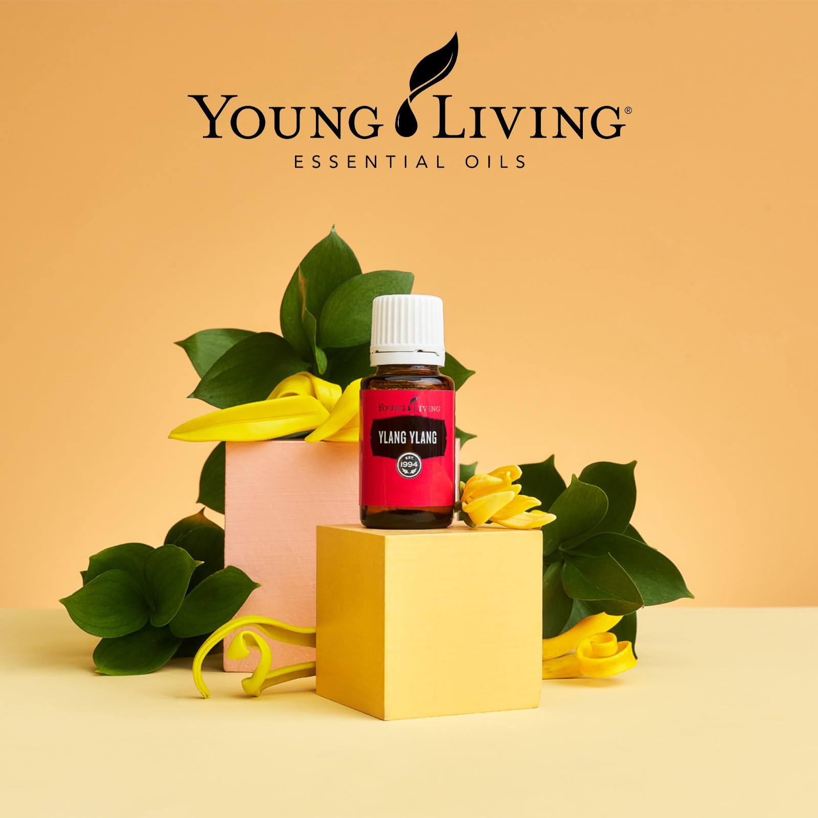 Amazon.com: Ylang Ylang Essential Oil 5ml by Young Living
