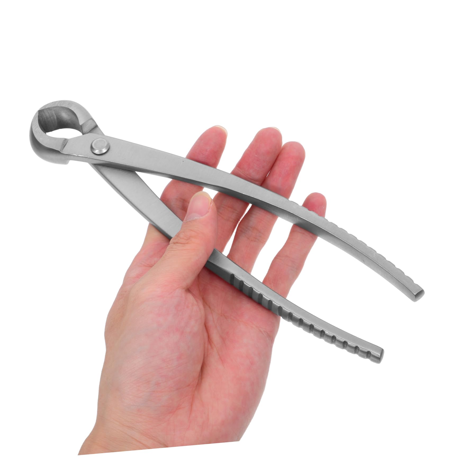 Forbici da Giardinaggio Bonsai in Acciaio Inox, Argento