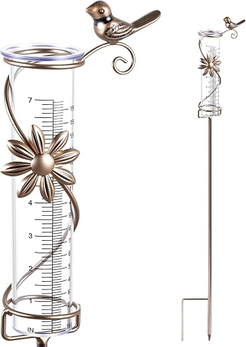 Pluviomètre pour Jardin Pluviomètre de Décoration de Jar Gulfmew