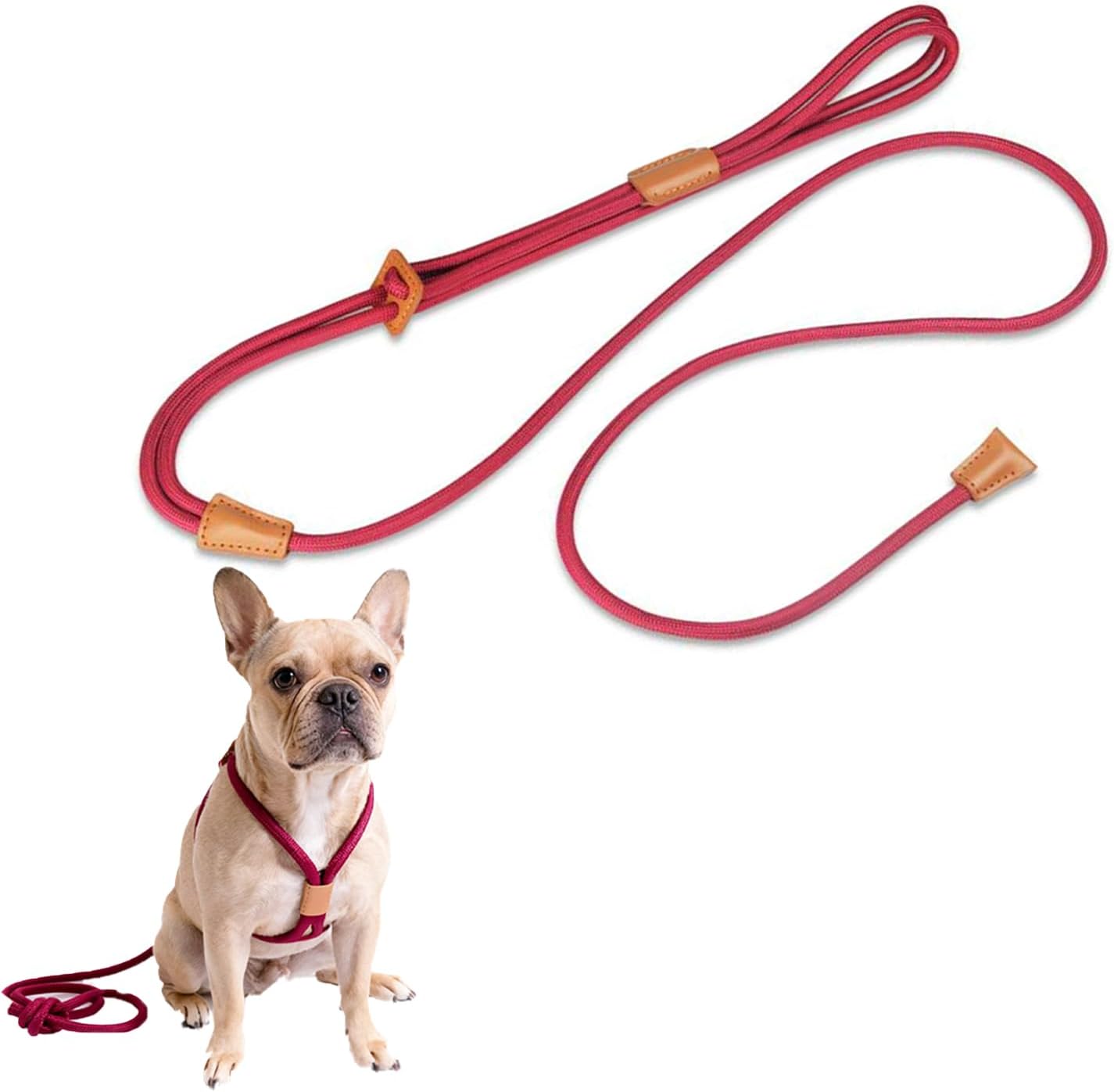 Slip Leads for Dogs, No Pull Rope Dog Harness, Collar Leash and Harness All in One, Adjustable Pet Training Lead for Walking, Dog Leashes for Small Medium Large Dogs, 5ft