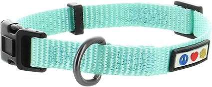 extra small dog accessories