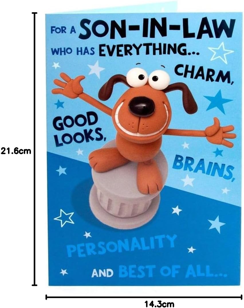 UK Greetings | Cute Son-in-Law Birthday Greeting Card | Happy Birthday Gifts | Him, Boys, Men | Funny Design | With Envelopes | 143 x 216 mm