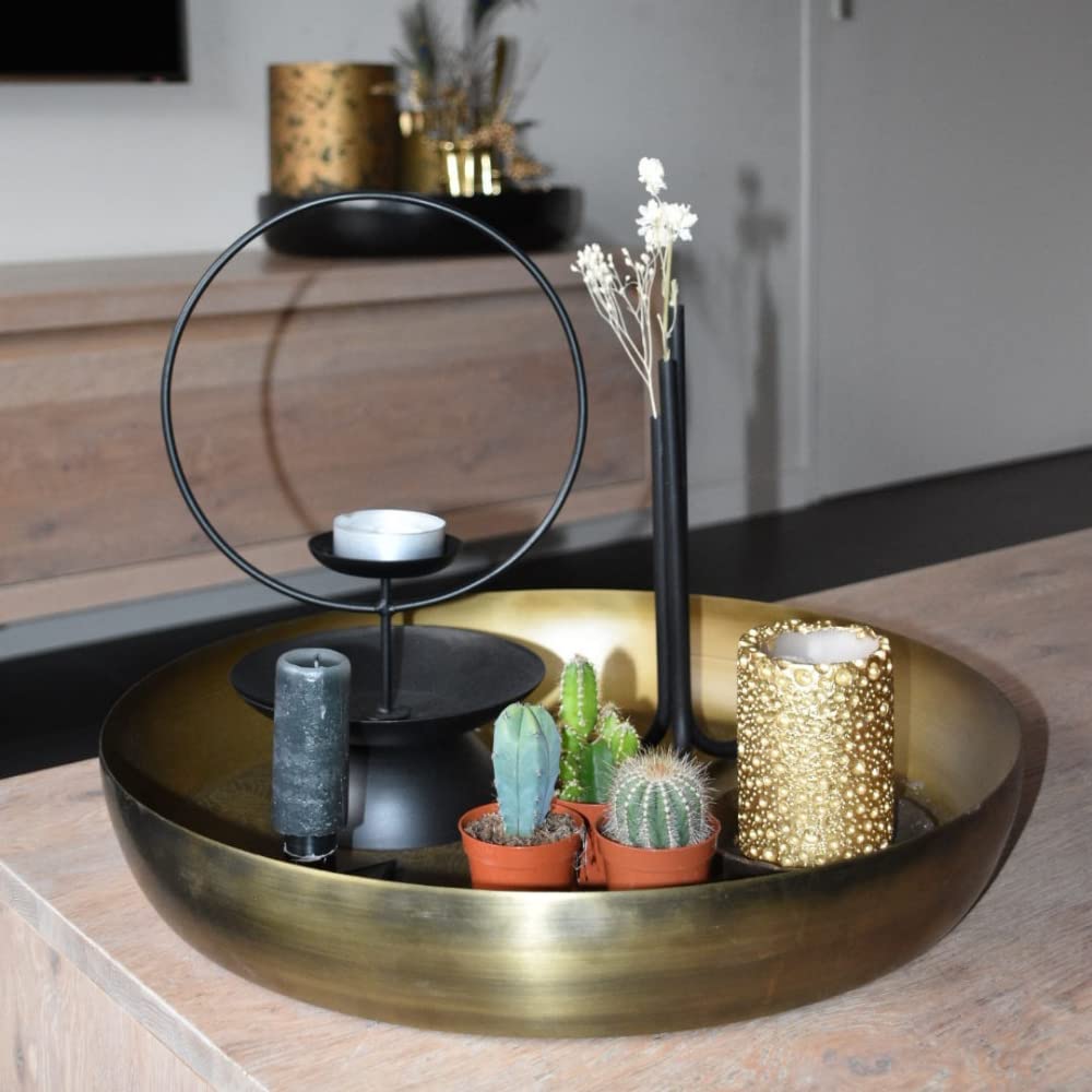 Set van 12 - Cactus - Hoogte 5-10cm - 5,5cm - Plant in a Box