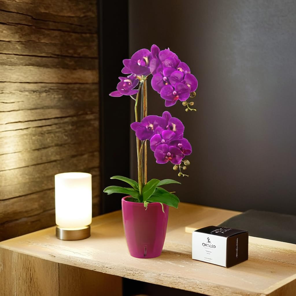 Santino Zestaw 4 doniczek na orchidee o średnicy 12 cm, z systemem knot i wskaźnikiem poziomu wody do wnętrz, fioletowy, 1,3 l