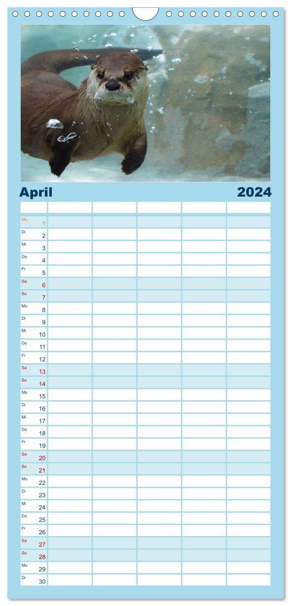 Familienplaner 2024 - Otter. Frech, laut und clever mit 5 Spalten (Wandkalender, 21 cm x 45 cm) CALVENDO: Putzige Räuber und echte Rabauken im und am Wasser (CALVENDO Tiere)