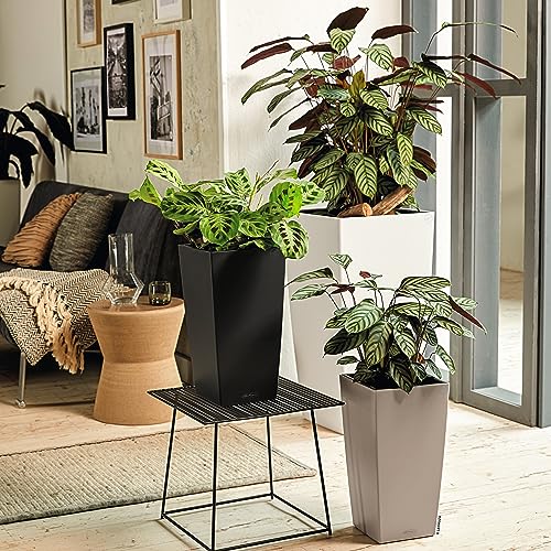 Lechuza Cubico Color 40 Vaso in Resina per Piante