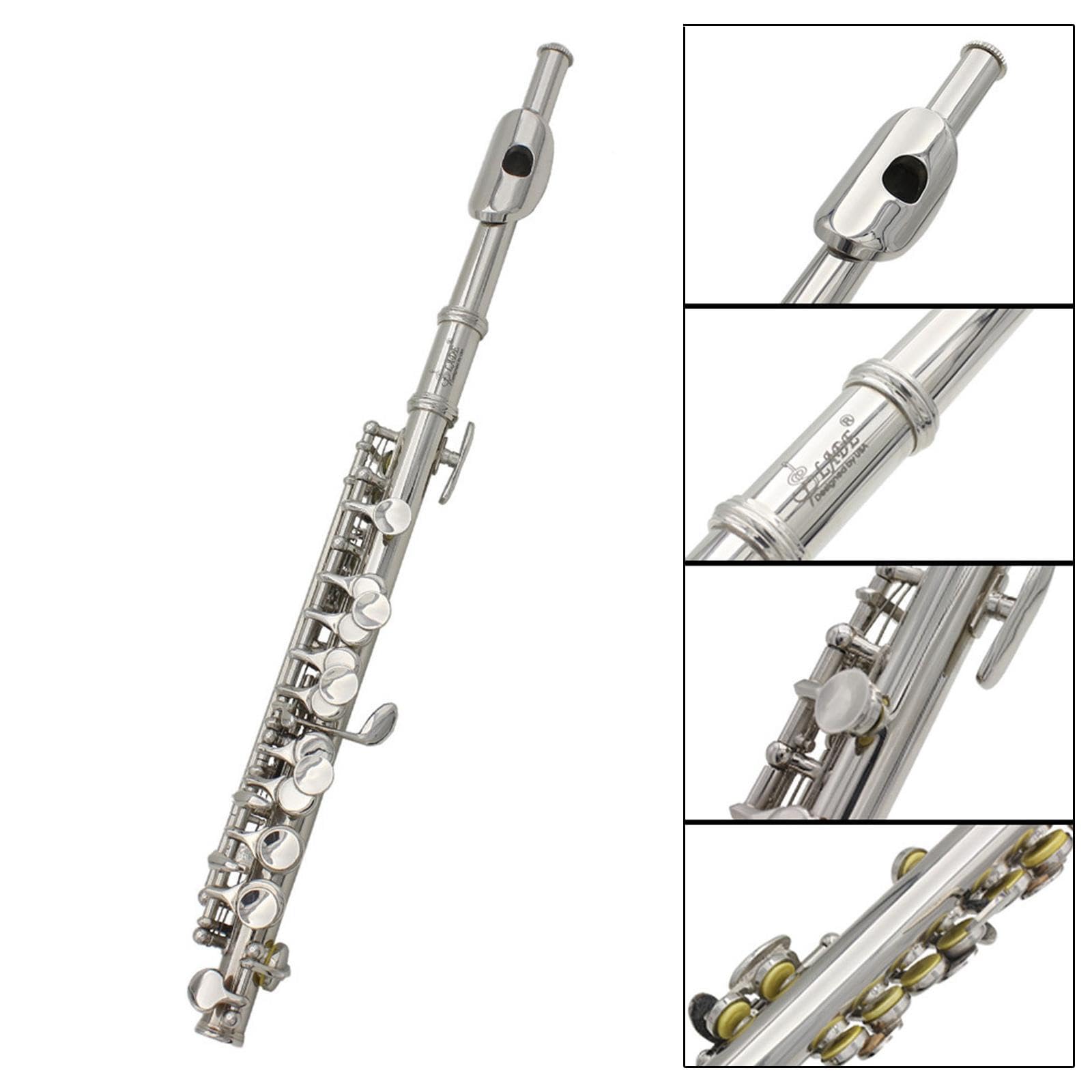 Piccolo Flöte in C Dur, leicht zu spielen, ideal für Anfänger. Inklusive Hartschalenkoffer und Zubehör. Traditionelles Instrument mit 16 Löchern, Silber, 31.5 x 1.3 cm