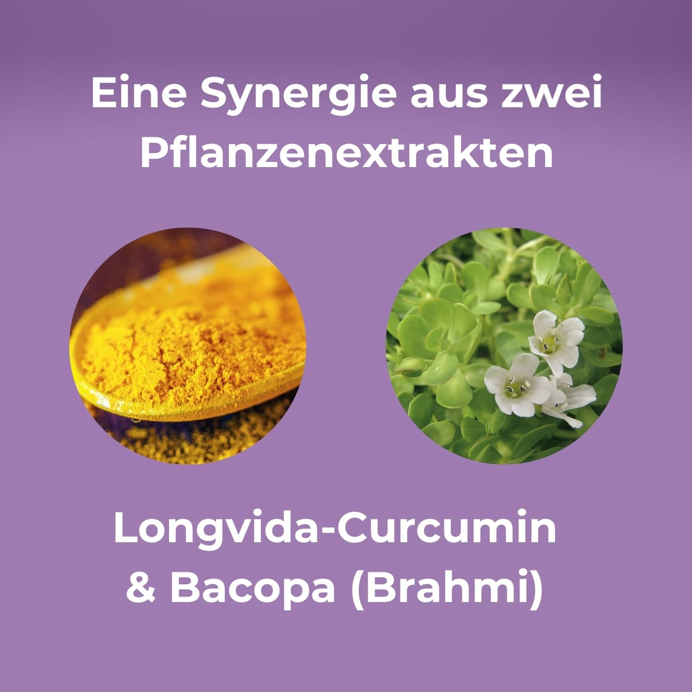 OPTIM Memory – Bacopa Monnieri (Brahmi) & Longvida Curcumin Kapseln, 90 Stück | Gedächtnis- & Fokus-Supplement für Gehirn & Konzentration | Für Erwachsene & Studierende