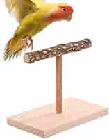 止まり木(大型オウム&インコ用) Amazon.co.jp: 鳥用止まり木爪とぎパーチ爪を磨自然木インコ