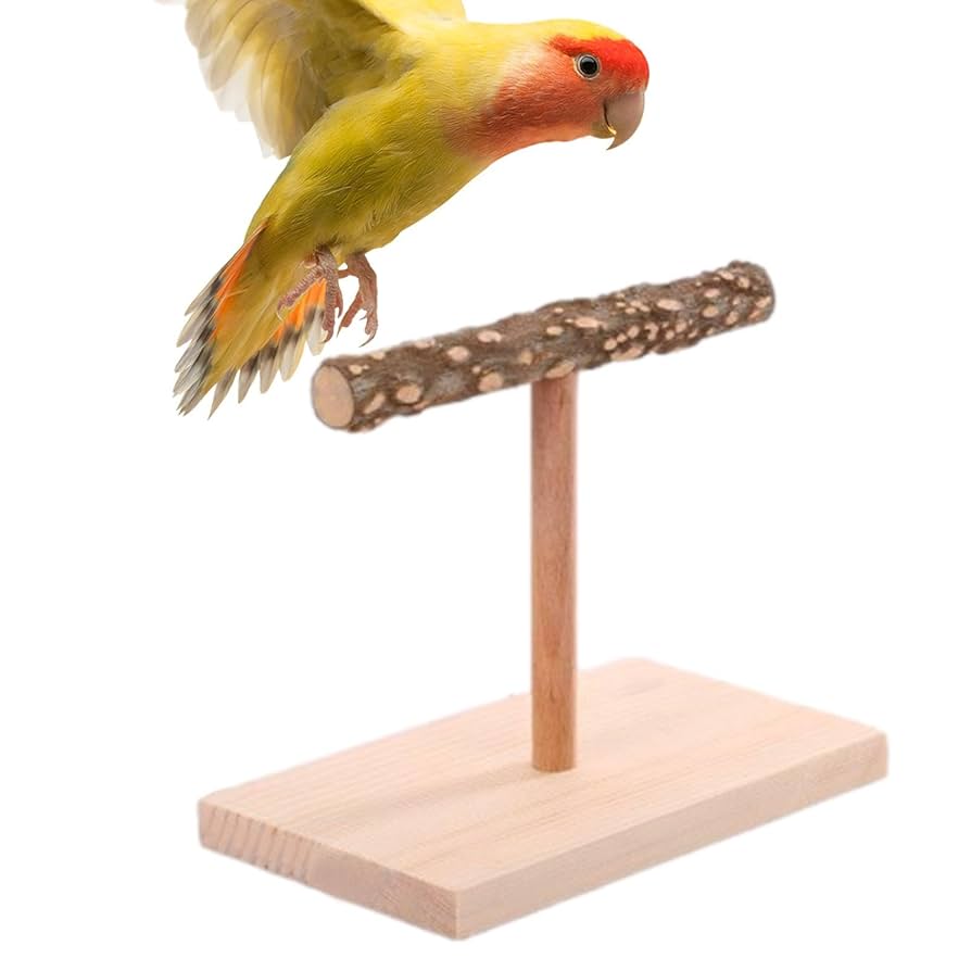 止まり木 s08m09 Amazon | YFFSFDC 鳥 止まり木I型 パーチ オウムインコ爪を磨く