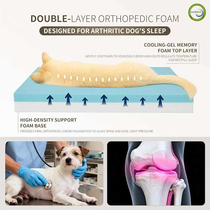 Cama Ortopédica para Perro Pequeña 28x19 Pulgadas con Espuma Viscoelástica y Cubierta Impermeable miniatura 2