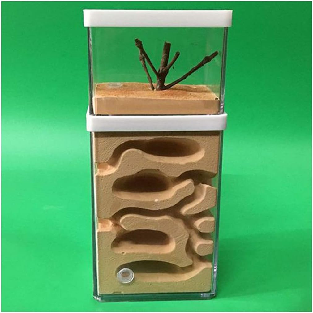 Amazon Co Jp 大 サイズ アリの巣 蟻 作品 ファーム 昆虫 ヴィラ 家 蟻塚 家 と 給餌 範囲 蟻 生息地 住む アリ ない 含まれる Diy 組み立て Size 10x8x15cm ペット用品