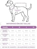 Ver la foto 4