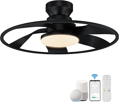 Hoenofly 22 Smart Low Profile Ceiling Fans with Lights Remote,Quiet DC Motor,Bladeless Flush Mount Ceiling Fan Controlled by WiFi Alexa App,Modern Black for Small Indoor Bedroom Outdoor Patio
