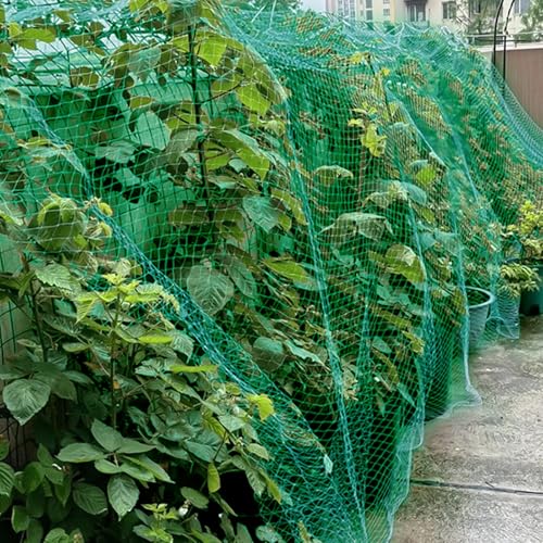 MIDELONG Rede de pássaros para jardim, 4 m x 10 m, malha para proteger plantas vegetais, árvores fru