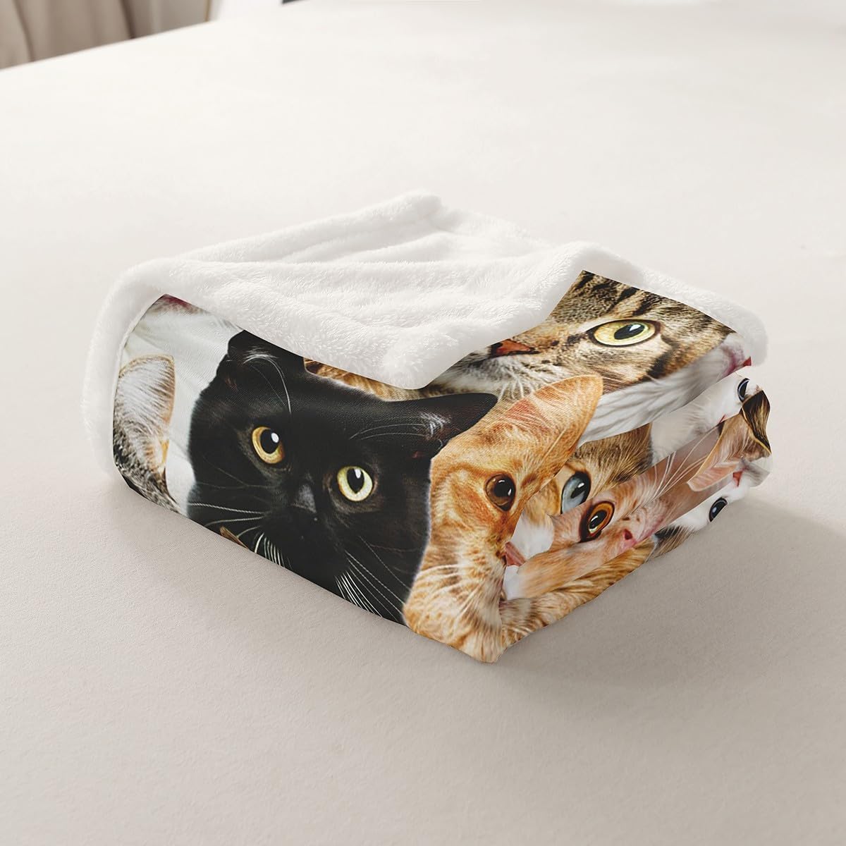 Cat Plush Blanket Cute Kitten Pet Fleece Throw Blanket Lovely Funny Cats Animal Pattern Sherpa Blanket for Bed Sofa Couch Microfiber Toddler Kawaii Fuzzy Blanket Room Decor Throw 50"x60"