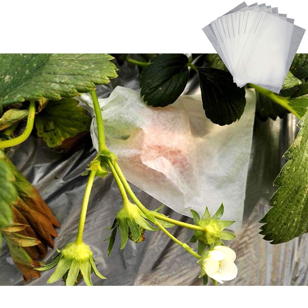 Fruit netting Garden Plant Net Bags 50Pcs Fruit Protection Wax Paper Insect Proof Bird Strawberry Cover(8x12cm)