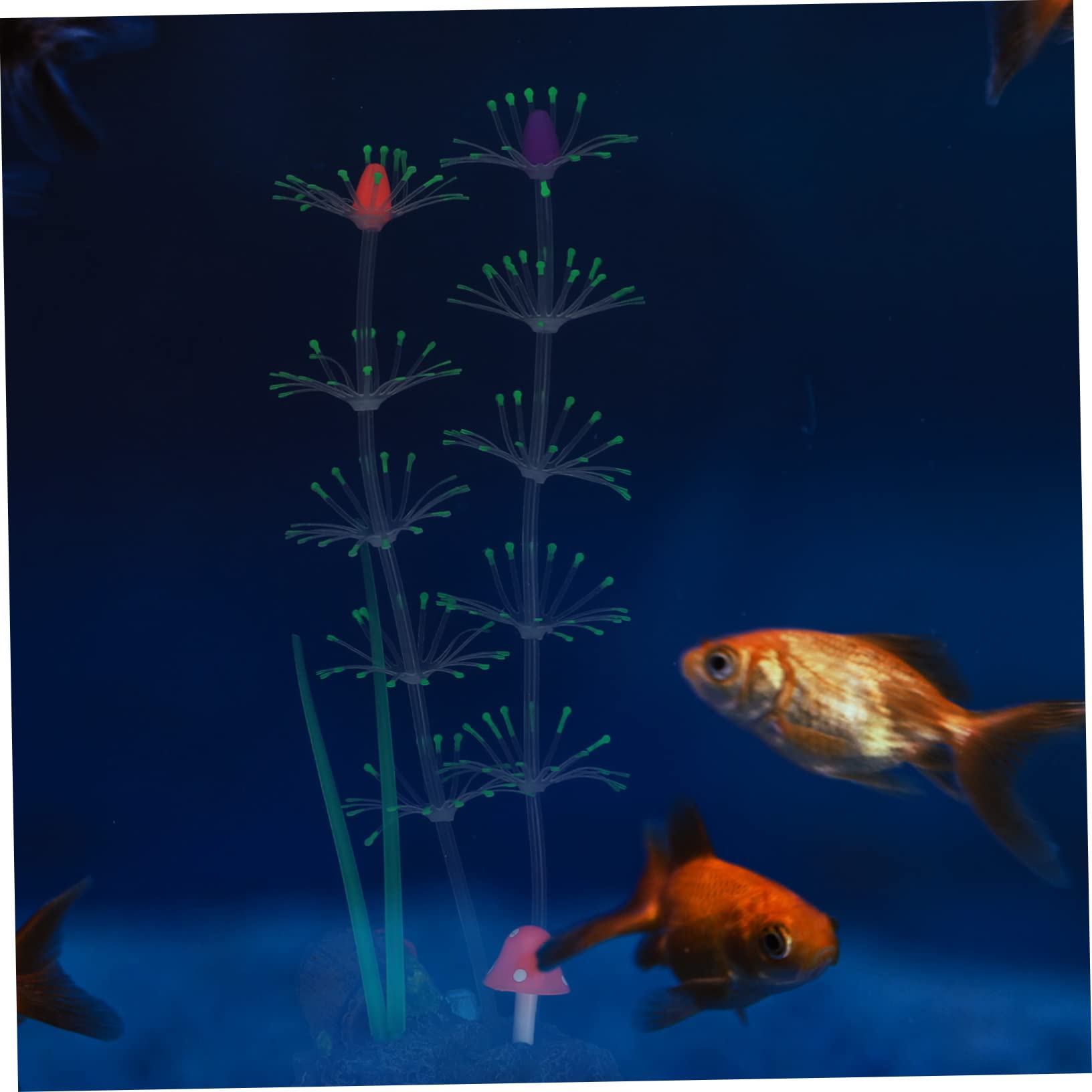 FRCOLOR 3stücke Aquarienpflanze Aus Lebensechte Künstliche Wasserpflanze Für Fischbecken-Dekoration Vivid Fake Plant Für Aquarien Und Fischliebhaber Sichere Und Sanfte Gestaltung Für