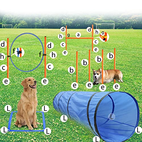 Geerduo Dog Agility Training Equipment thumb #3