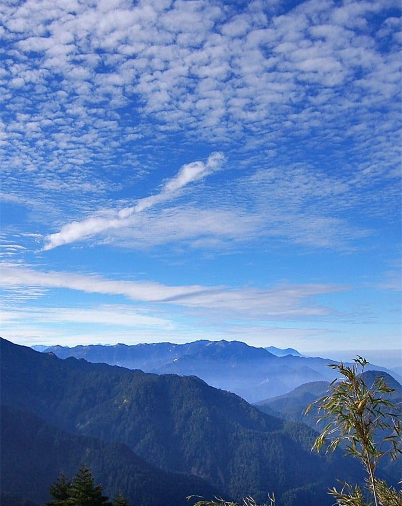 1000 Piece Jigsaw Puzzle for Adults & for Kids Age 10 and Up-Sky,clouds,ease 70x50cm