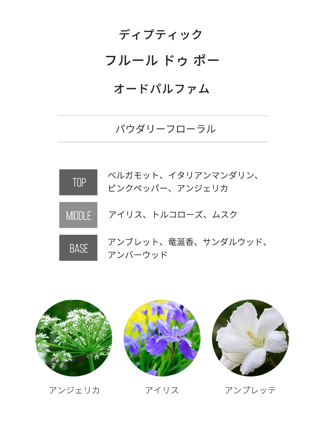 Amazon | DP 香水 ディスカバリーセット オルフェオン ドソン フルール