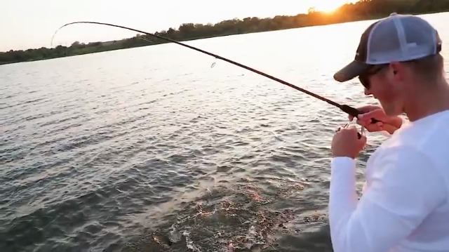 cadence fishing cs8 spinning reel Amazon.com : Cadence CS7 Aluminum Spinning Reel