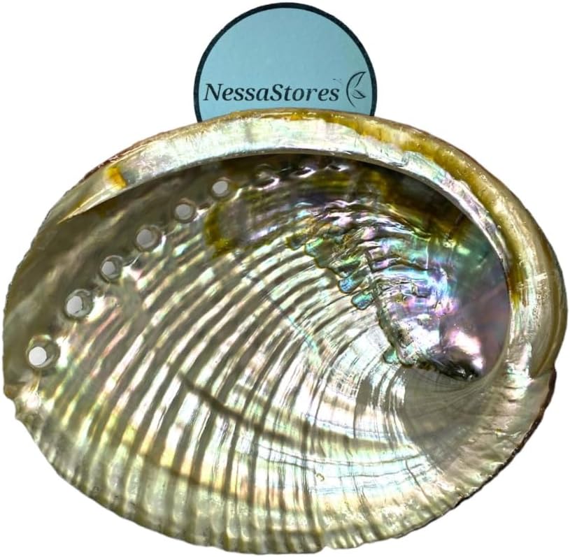 NessaStores 4 Abalone Shells 4 to 5 Inches | Beautiful All Natural Smudge Bowl - Perfect for Smudge Sticks, Incense Sticks and a Sage Smudge Kit. JC-011
