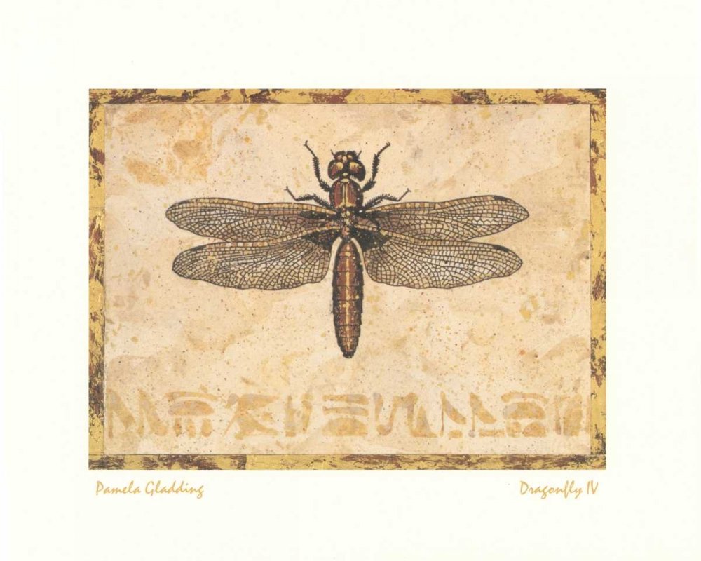 Image sur toile enroulée Libellule IV Gladding Pamela – Nature morte – Impression horizontale artistique marron, rouge, or, insectes, libellules et libellules laissées sur toile 35_X_45_in