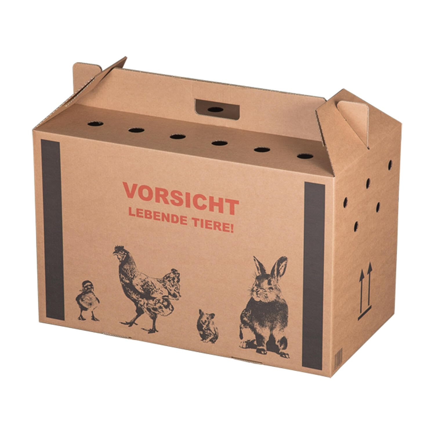10 Transportkarton für Kleintiere 580x310x370mm mit Tragegriff Luftlöchern und Automatikboden - Größe L