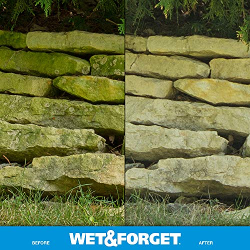Wet & Forget No Scrub Outdoor Cleaner For Easy Removal Of Mold, Mildew And Algae Stains, Bleach-Free Formula, 1 Gallon Concentrate - Makes 6 Gallons #TOP2