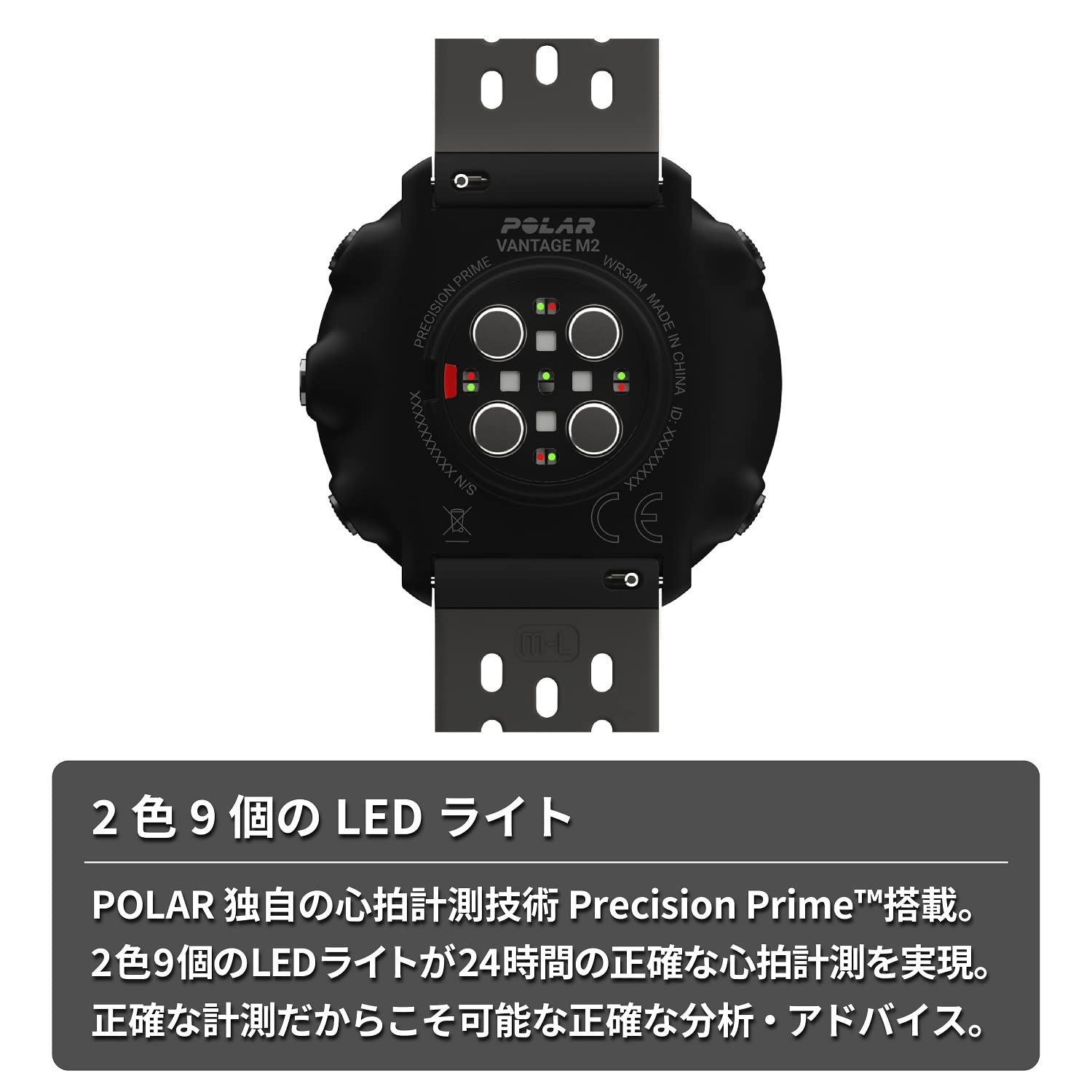 Amazon | POLAR (ポラール) ポラール ヴァンテージ M2 （ Polar  