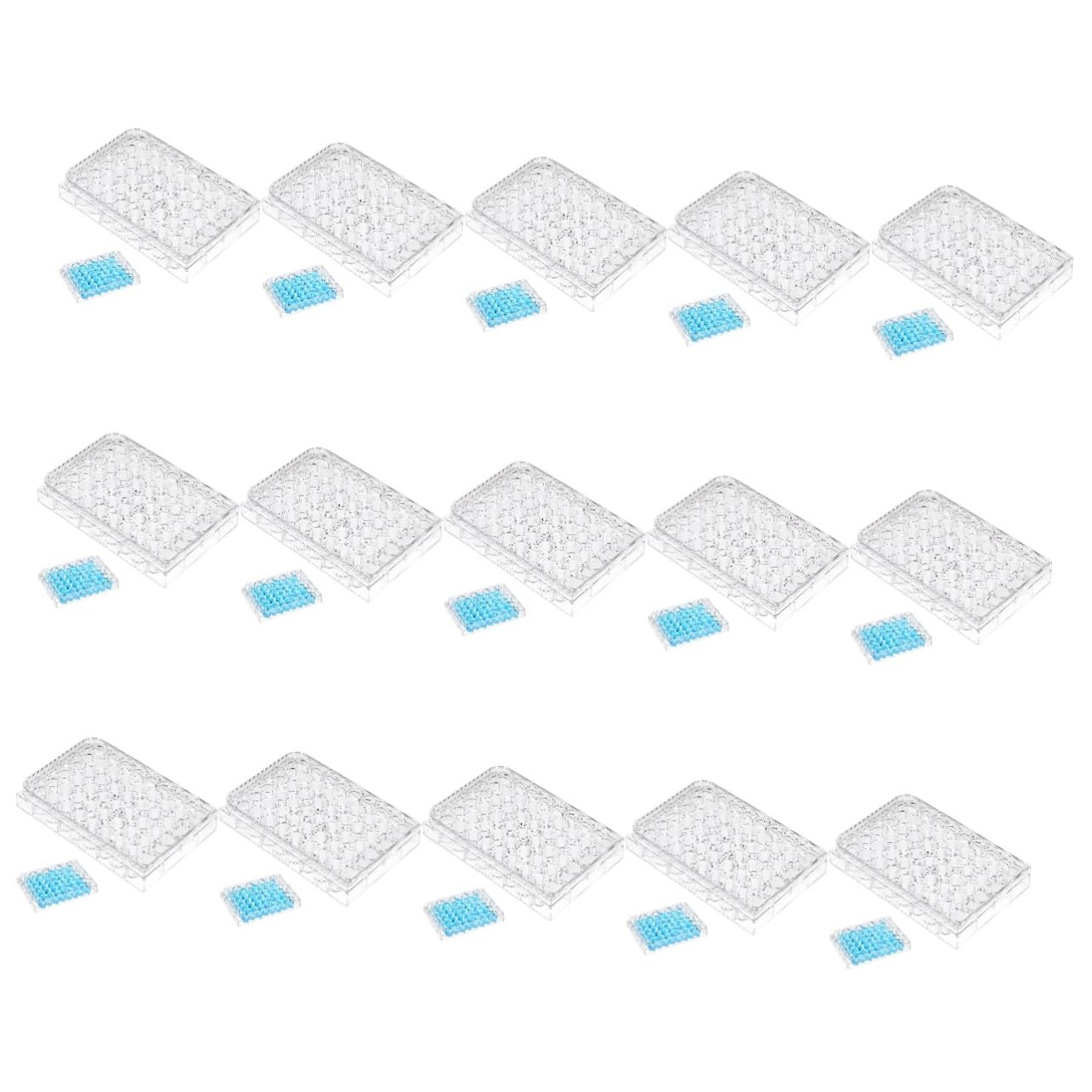15 Piezas Placa De Cultivo Para Lámina Tapa Registro Papa Noel Placa De Cultivo Celular Para Junta De Cultivo Celular Petri Científico Pipeta Placa Tratada Para Cultivo De Tejidos