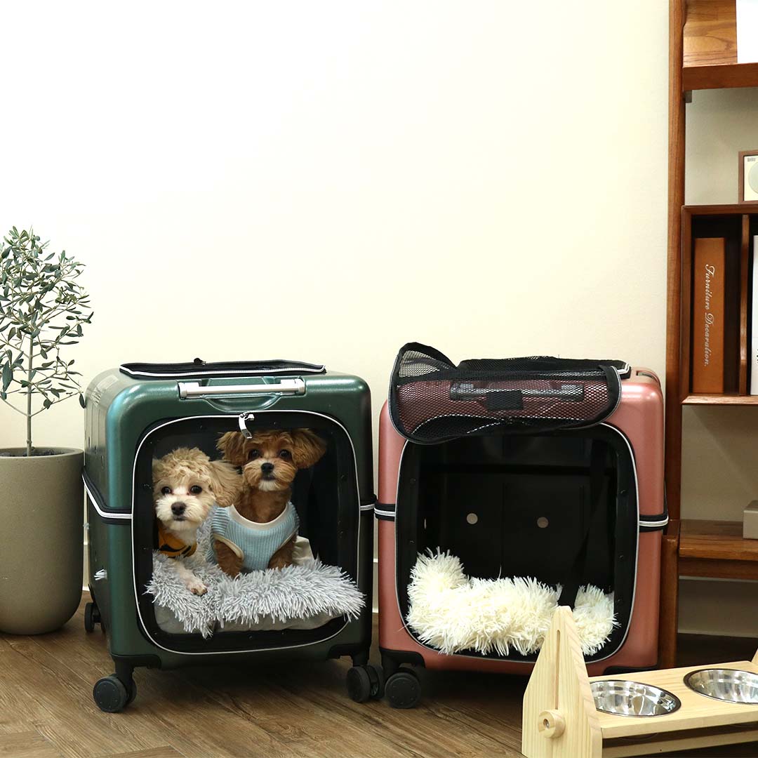 Amazon.co.jp: 【ペットネル】 ペット キャリー バッグ かばん ペット