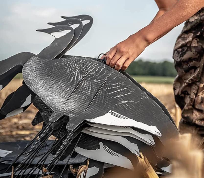 The Best goose silhouette decoys For 2022 licorize