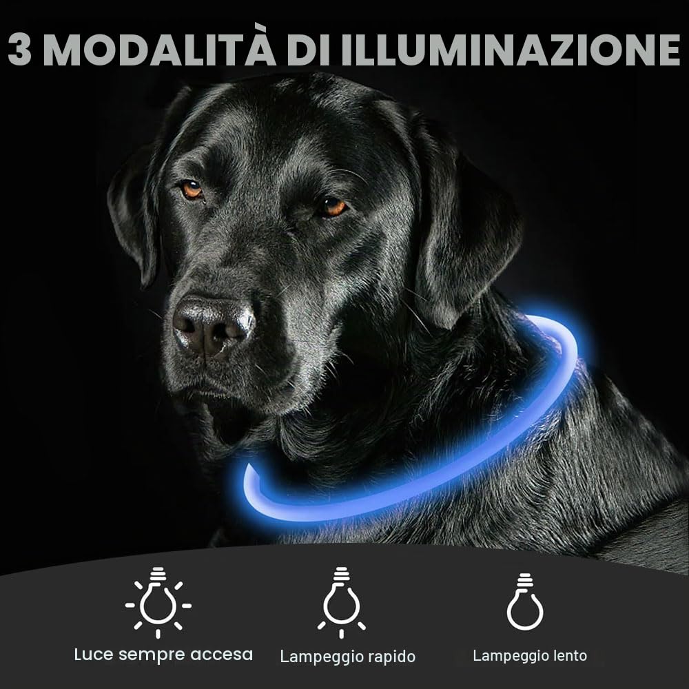Voarge Collare luminoso per cane - Ricaricabile - Con 3 modalità di illuminazione - LED regolabile in lunghezza - Per cani di taglia media e grande - Blu