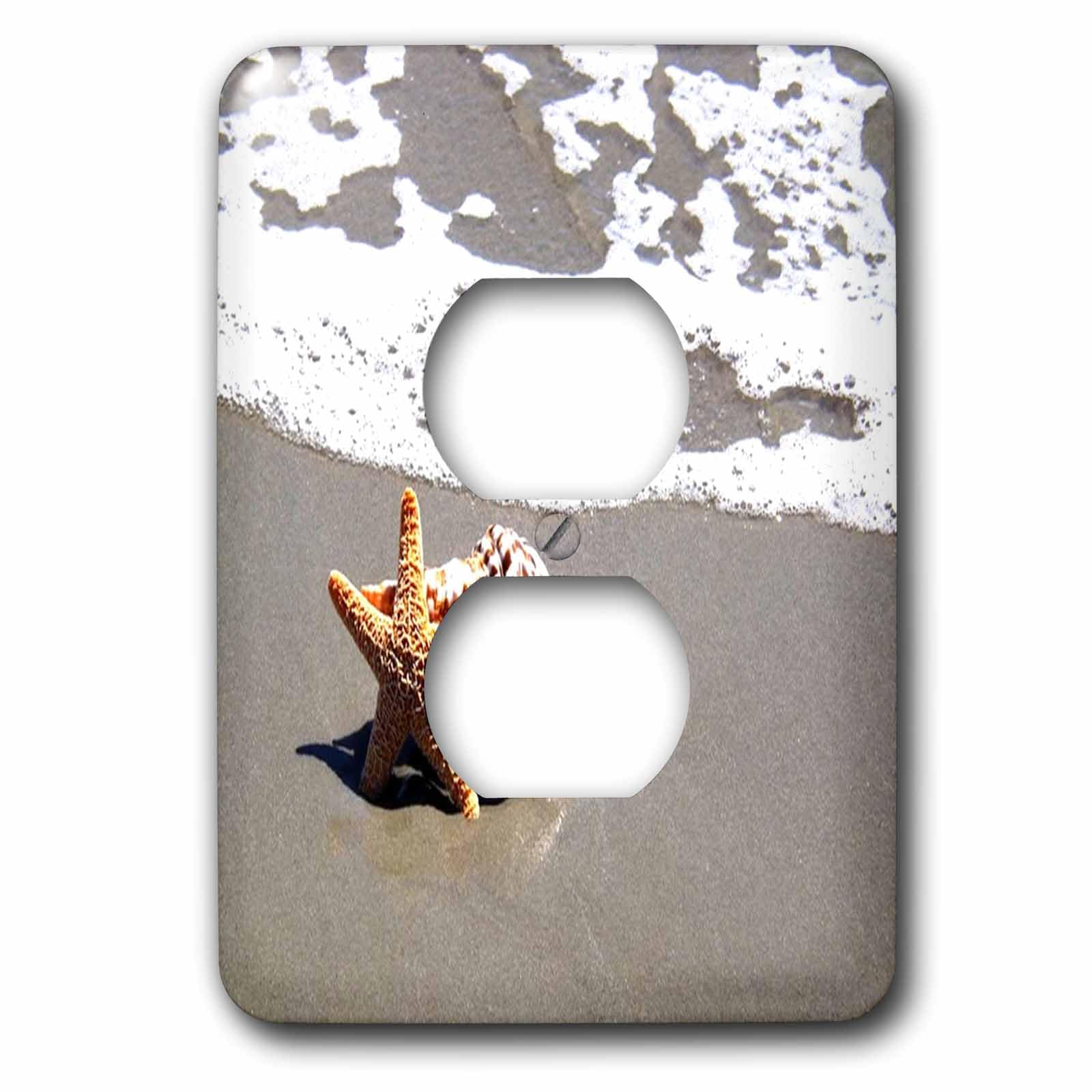 Coquillage sur la plage plaque pour cacher les prises murales doubles abimees