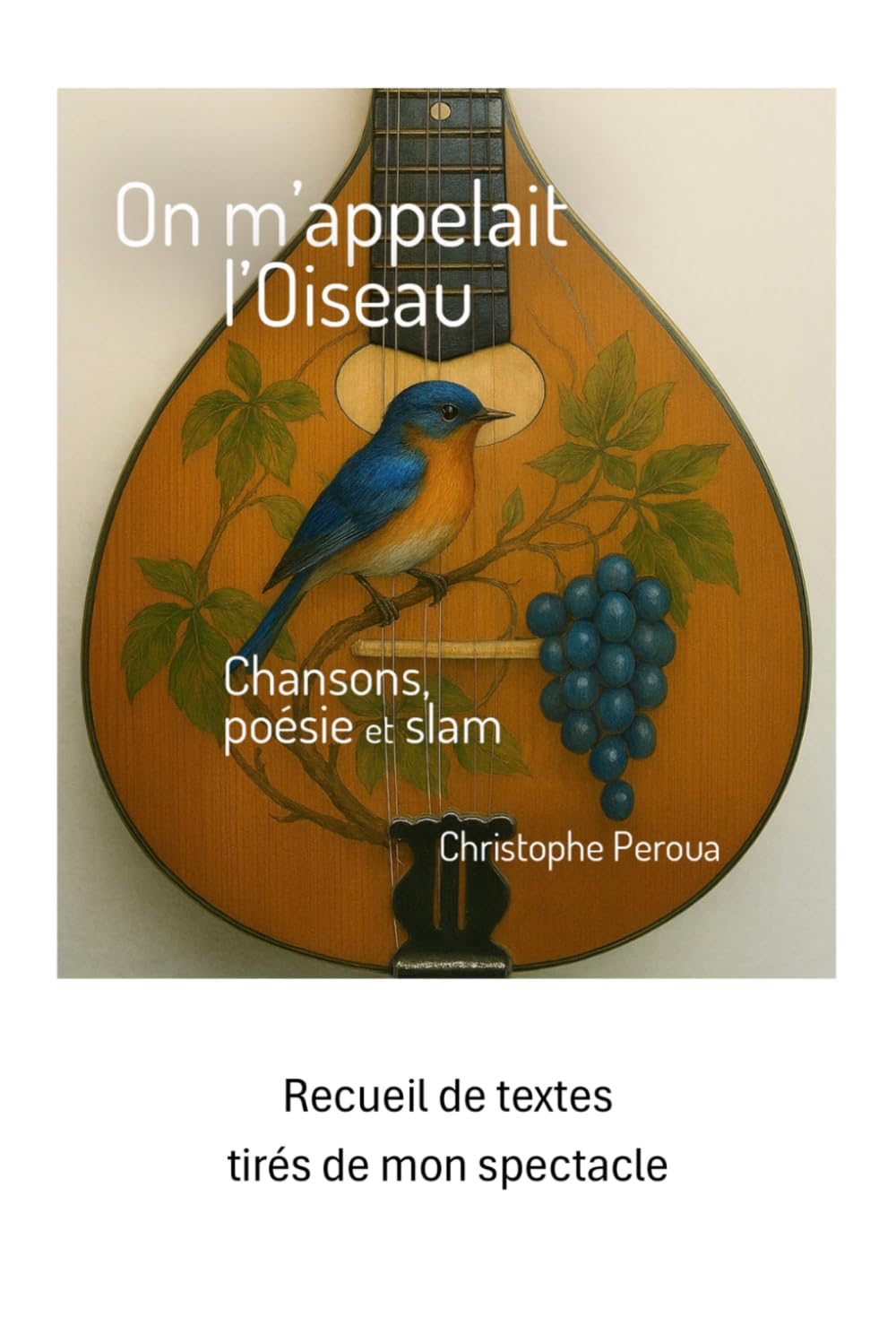 On m'appelait l'oiseau: Chansons, poésie et slam