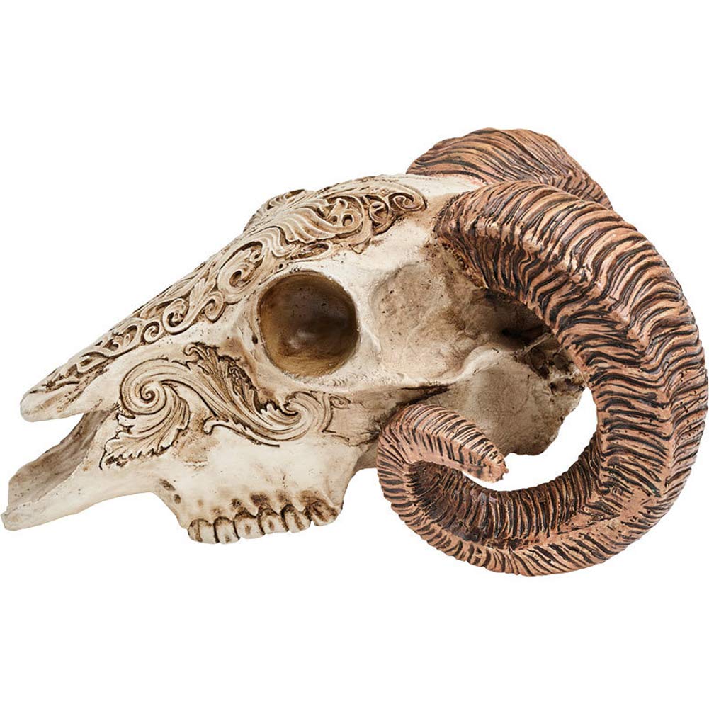 Amazon.com: Alchemy Gothic Scrimshaw Ram Skull : Home & Kitchen