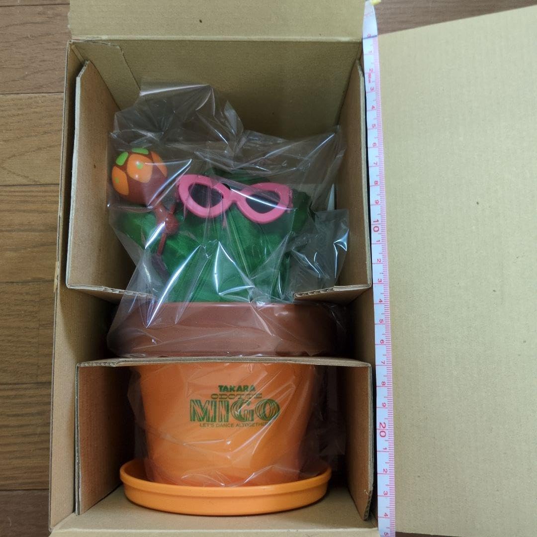 現品】バオバブ・ディギタータ 6号 白鉢 （2） 植物学