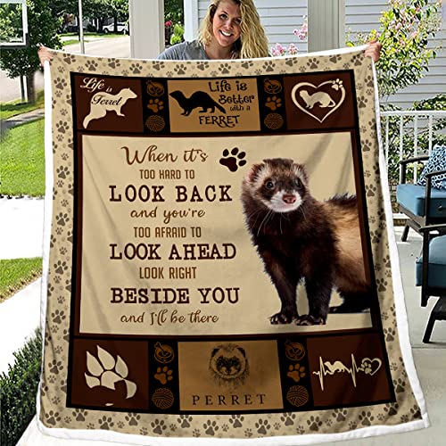 Top 10 Best Bedding For Ferrets Top Picks 2023 Reviews