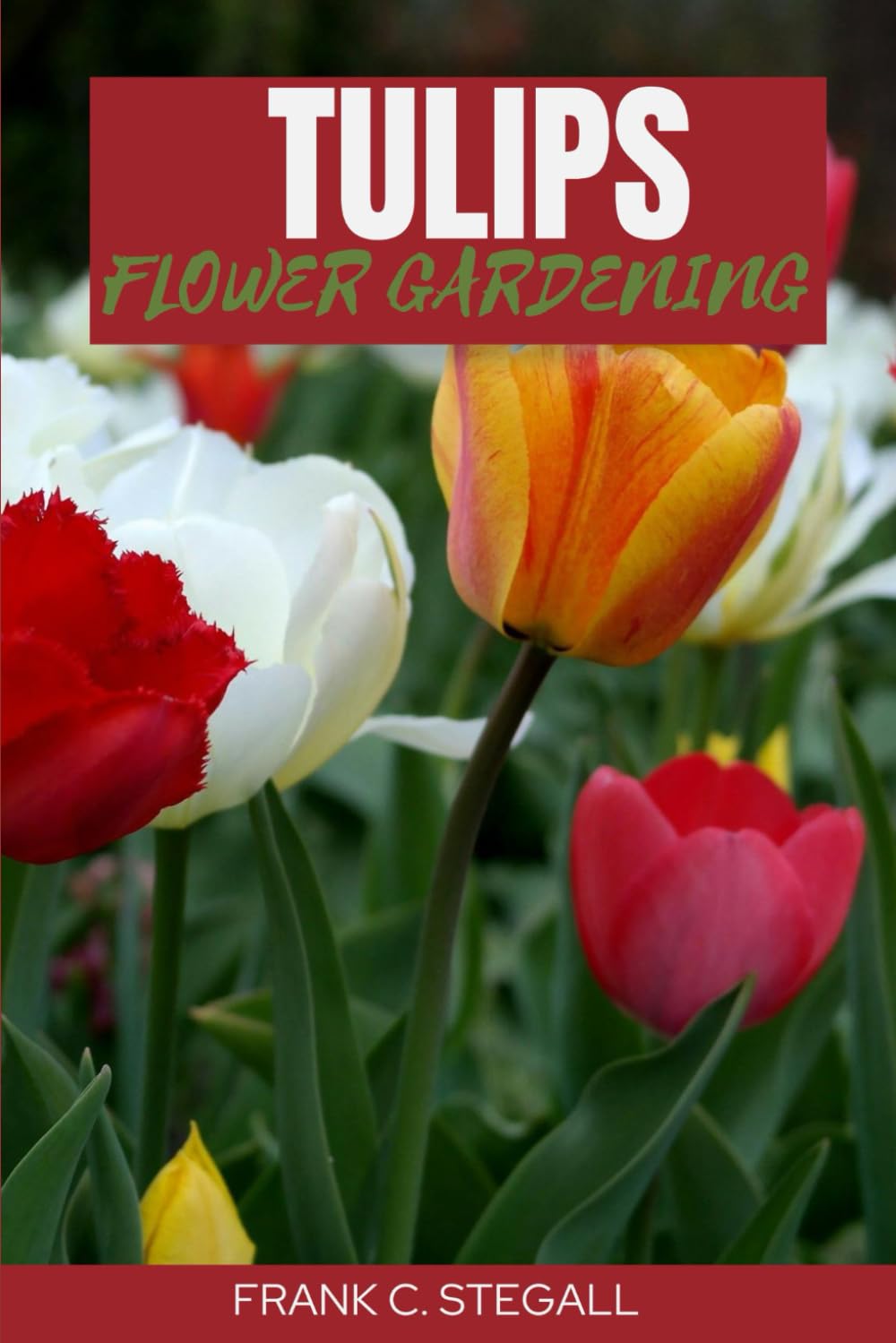 TULIP FLOWER GARDENING: STEP BY STEP BEGINNERS GUIDE TO GROWING, CARING AND HARVESTING