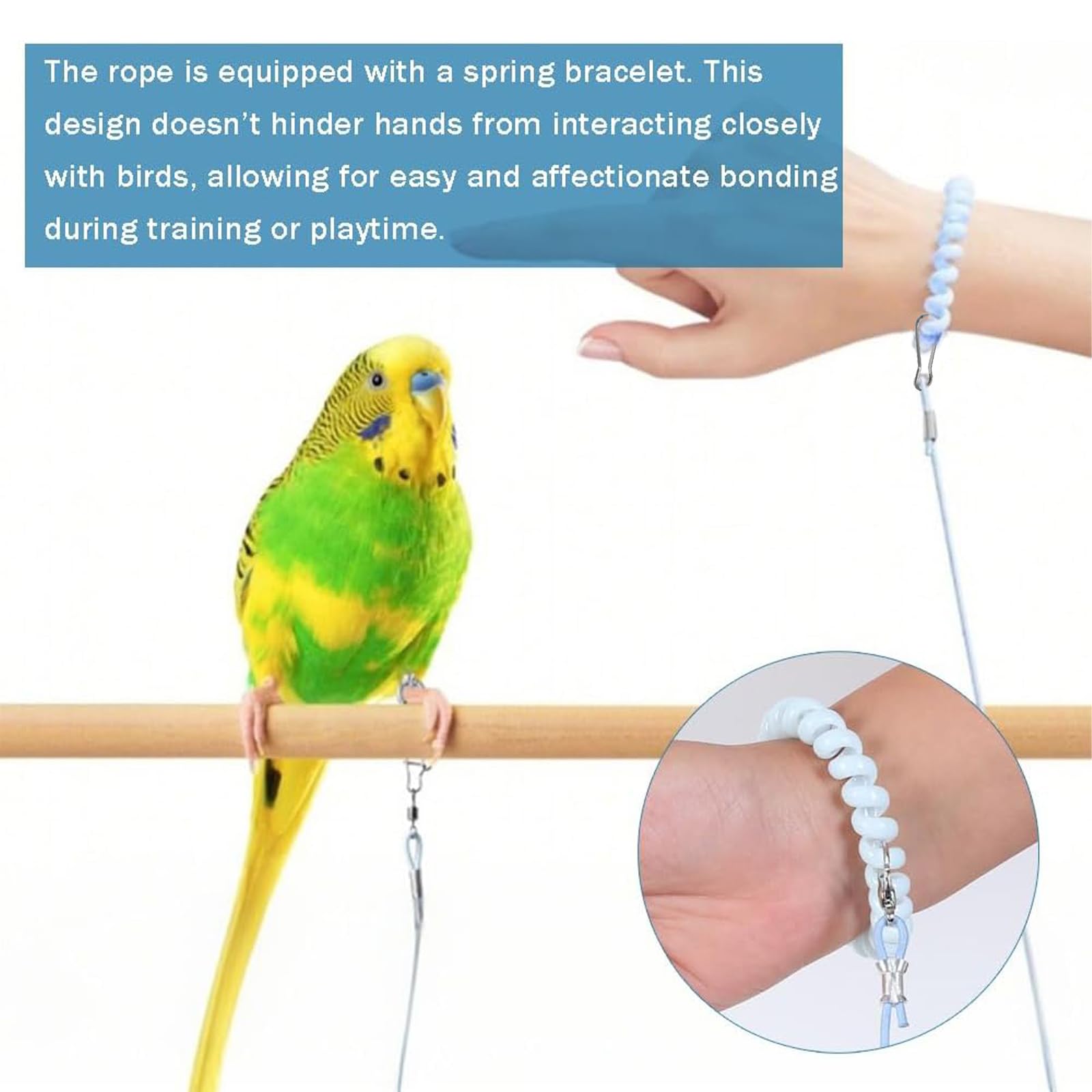 YUISI 300cm Bird Harness, Parrot Toy, with 3 Different Size Foot Ring, with Anti Lost Bracelet, Mini Lightweight Outdoor Bird Harness for Birdsfor Budgies, Cockatiels & Small Birds 1