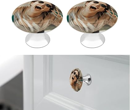 2 Pack Custom Drawer Knobs,Black Drawer Pulls,Premium Quality, Easy to Install,Decorative Handles for Home Bedroom Drawer Dresser Door Closet, Modern Draw Pulls and Knobs with Screw